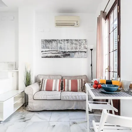 Bonito Duplex Con Terraza Calle Feria 아파트 세비야